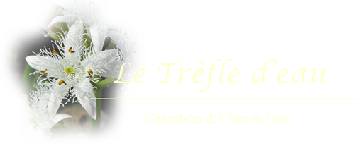 www.letrefledeau.fr